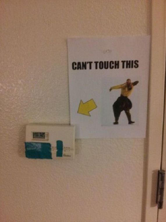funny-pictures-550