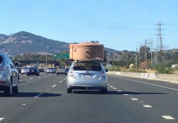 funny-pictures-551