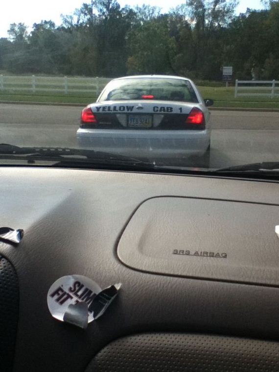 funny-pictures-551