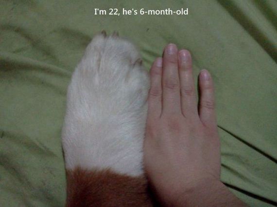funny-pictures-551