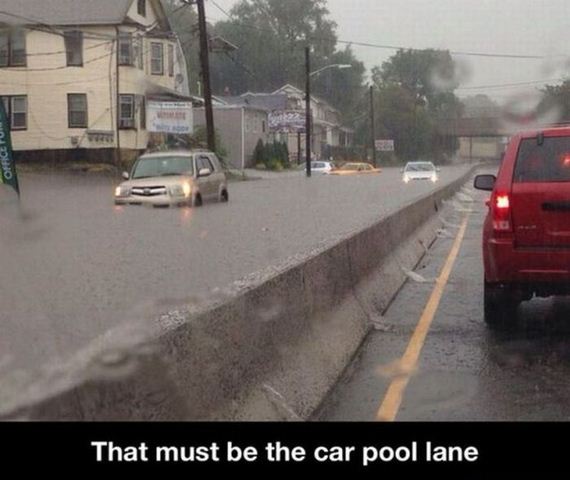 funny-pictures-551