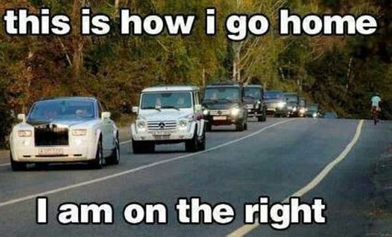 funny-pictures-551