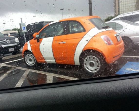 funny-pictures-551