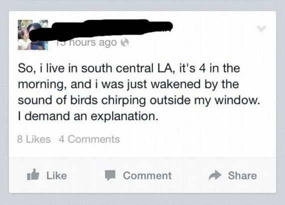 funny-pictures-551