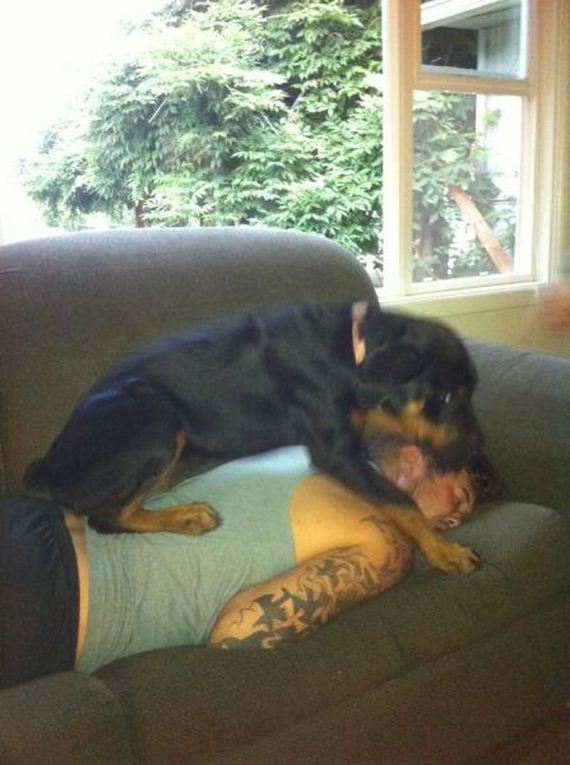 funny-pictures-551