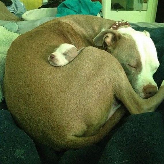 funny-pictures-552
