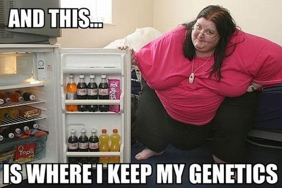 funny-pictures-552