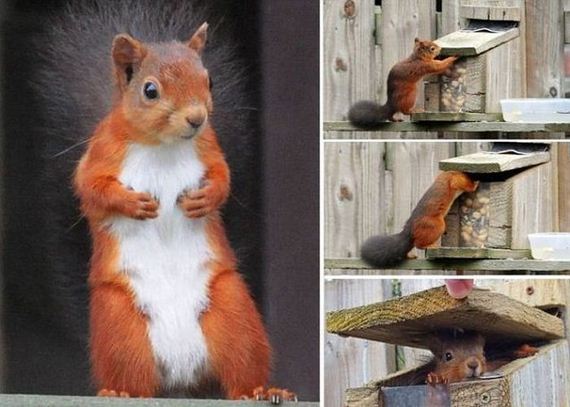 funny-pictures-552