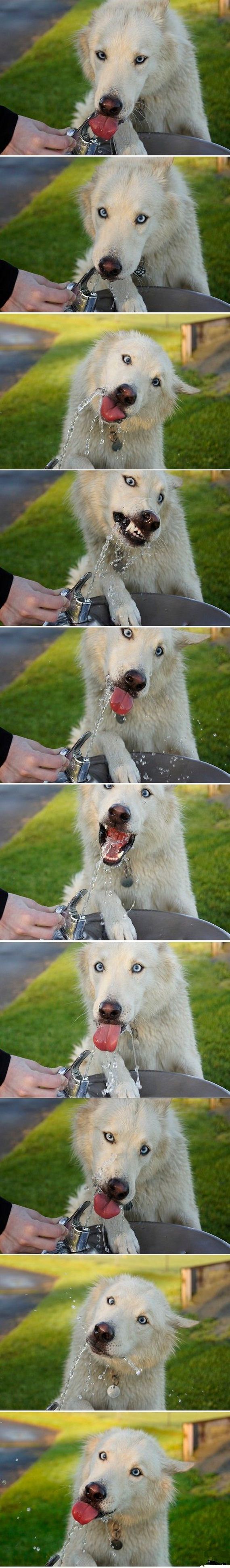 funny-pictures-552