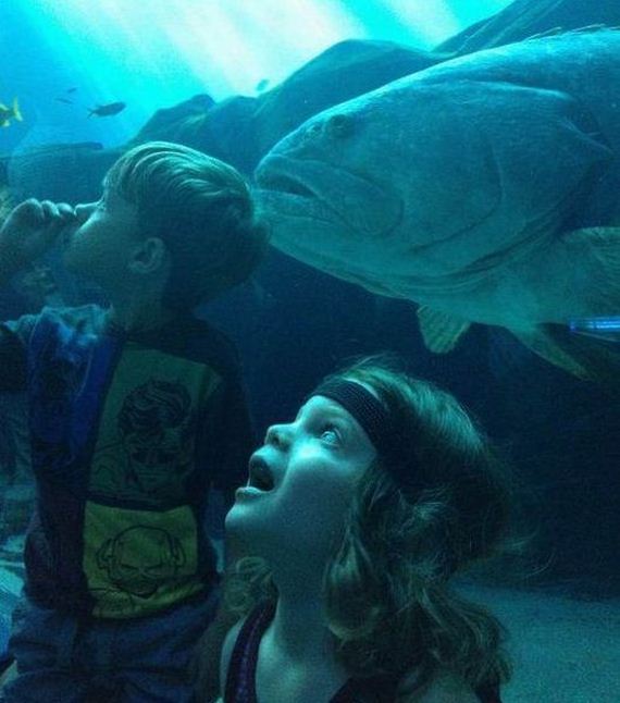 funny-pictures-552
