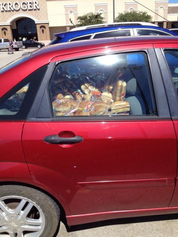 funny-pictures-552