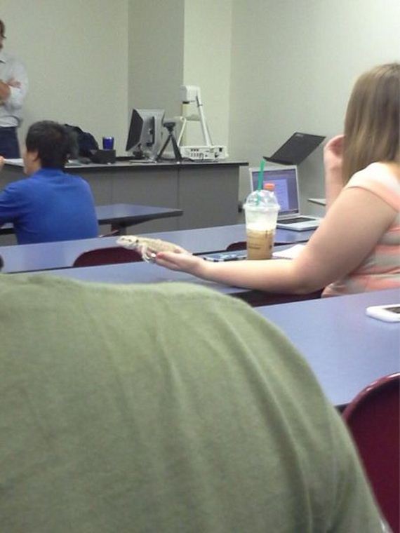 funny-pictures-552