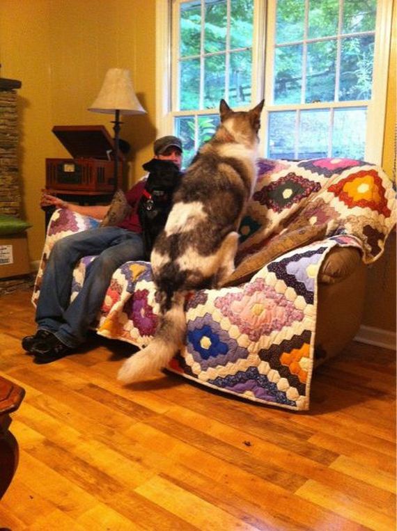 funny-pictures-552