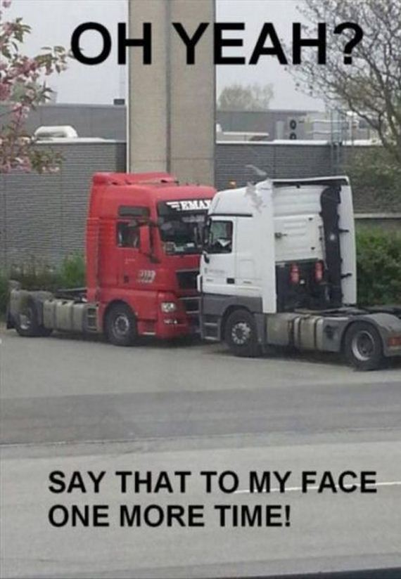 funny-pictures-552