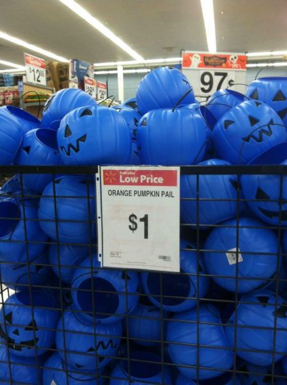 funny-pictures-552
