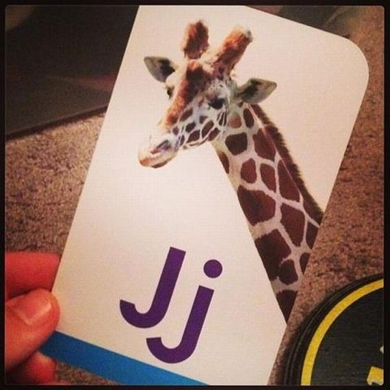 funny-pictures-552