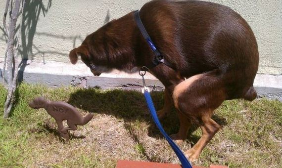funny-pictures-553