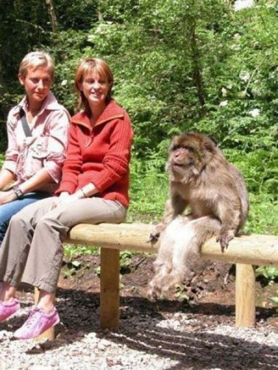funny-pictures-553