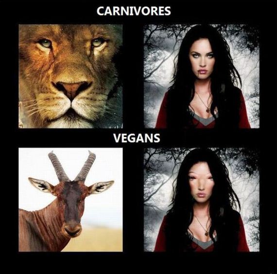 funny-pictures-553