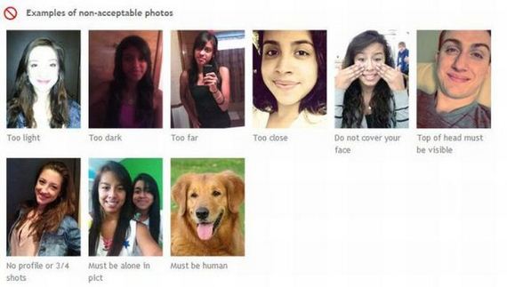 funny-pictures-553