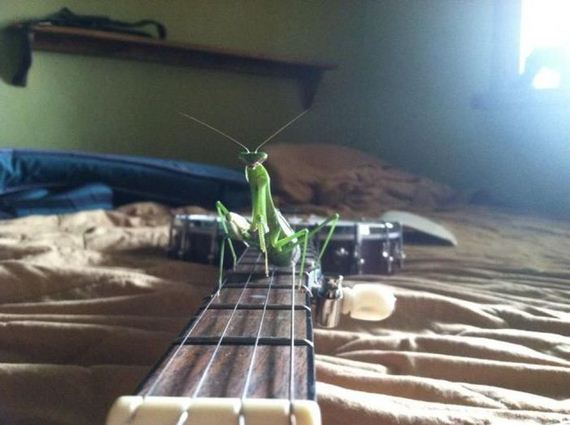 funny-pictures-553