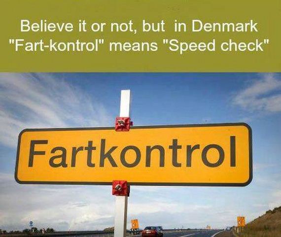 funny-pictures-553