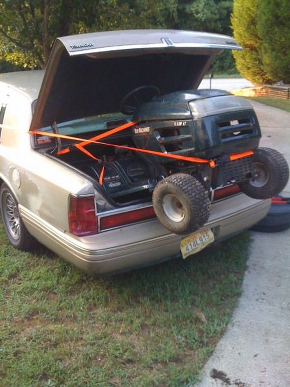 funny-pictures-553