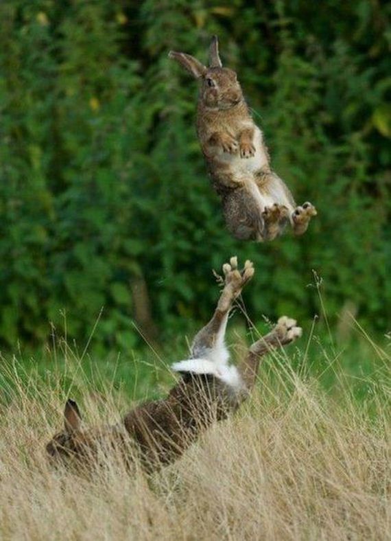 funny-pictures-553