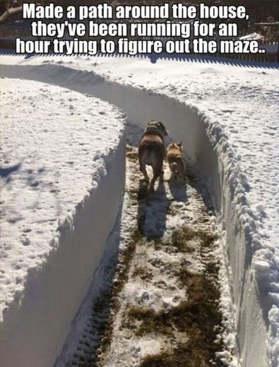 funny-pictures-553