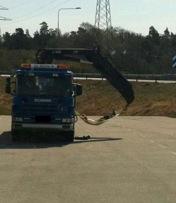 funny-pictures-553