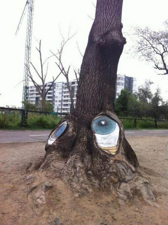 funny-pictures-553