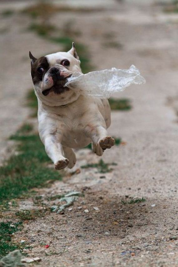 funny-pictures-554