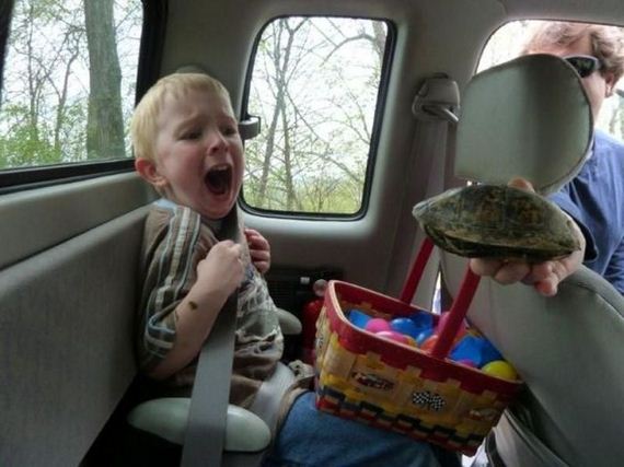 funny-pictures-554
