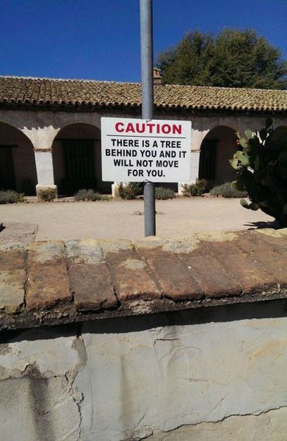 funny-pictures-554
