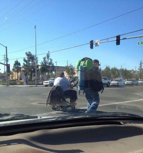 funny-pictures-554