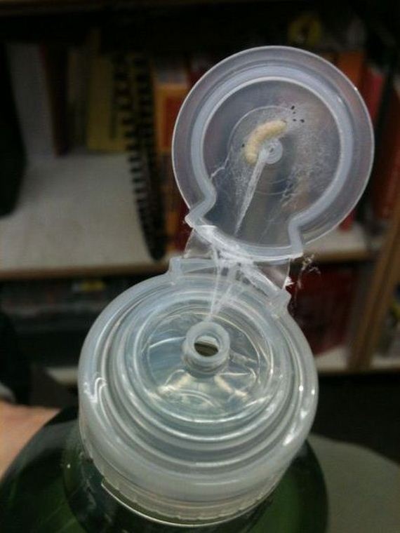 funny-pictures-554