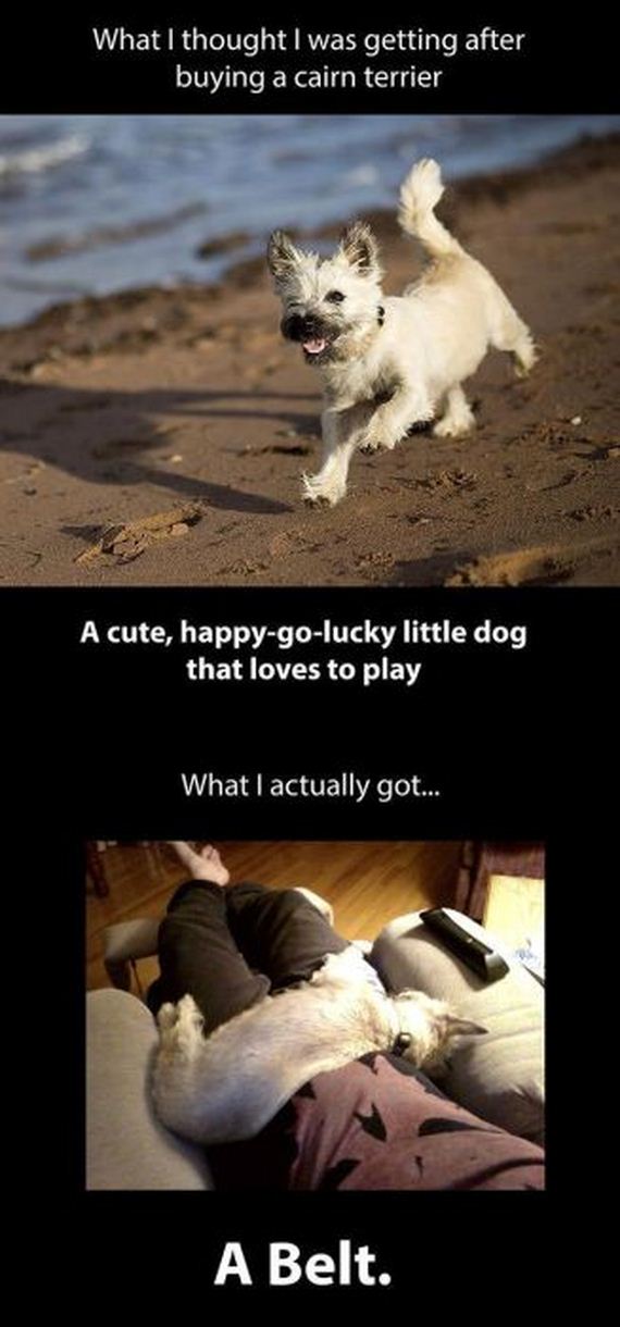 funny-pictures-554