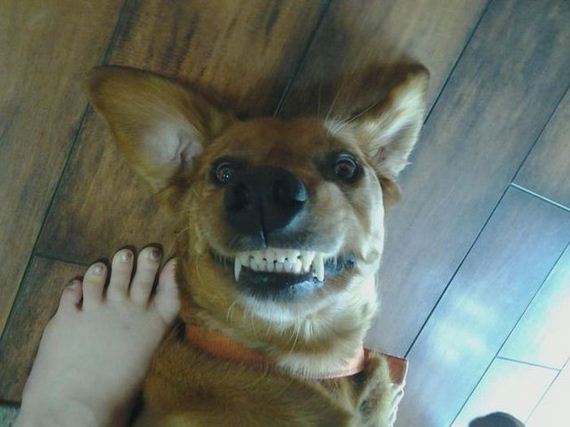 funny-pictures-554