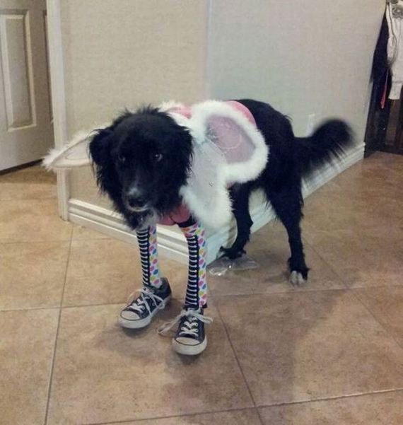 funny-pictures-554