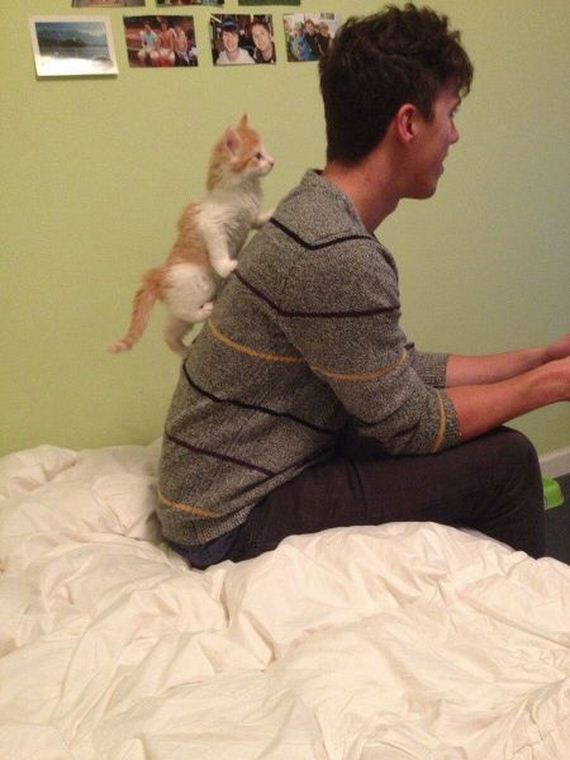 funny-pictures-555