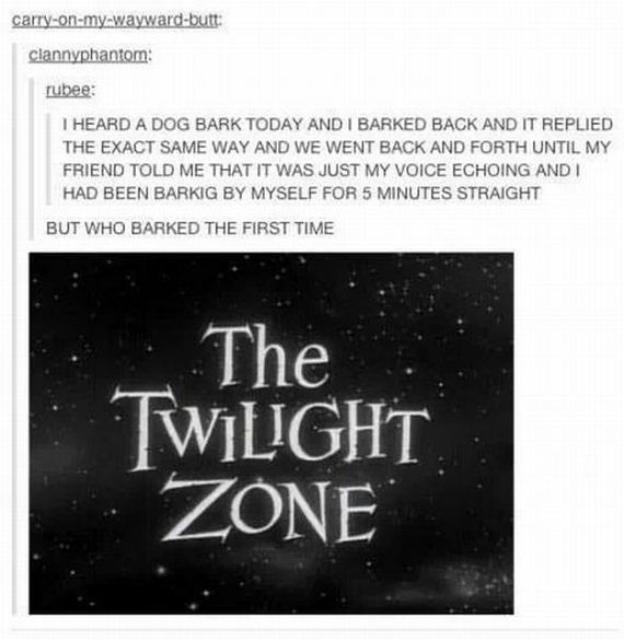 funny-pictures-555