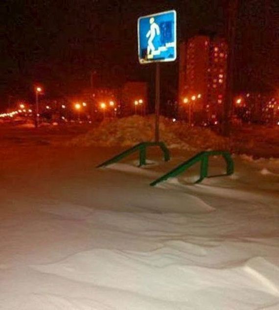 funny-pictures-555