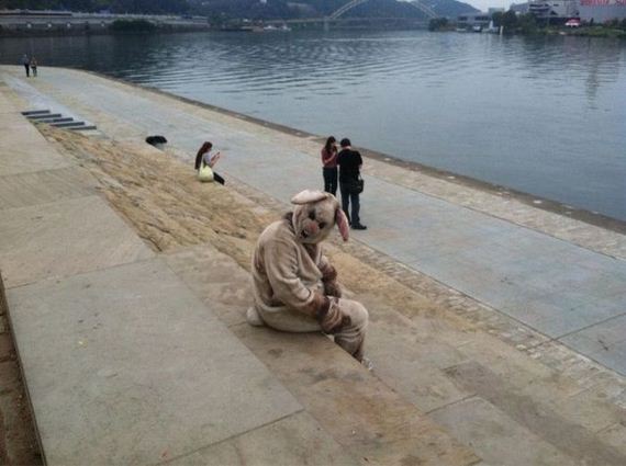 funny-pictures-556