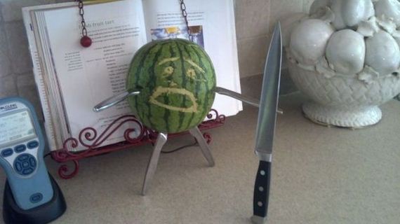 funny-pictures-556