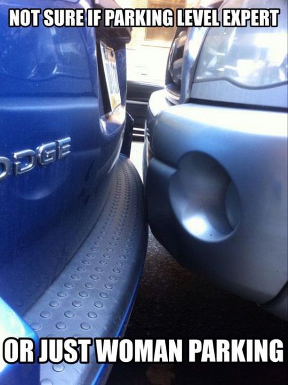 funny-pictures-556