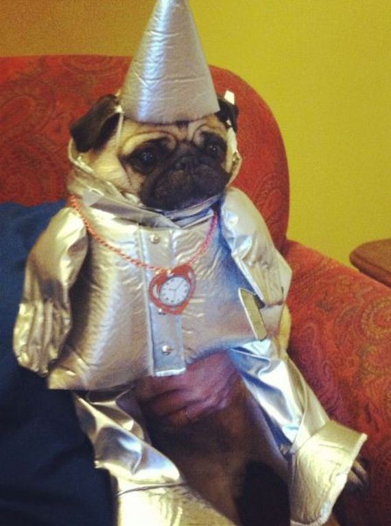 funny-pictures-556