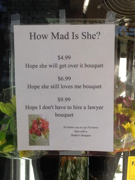 funny-pictures-556