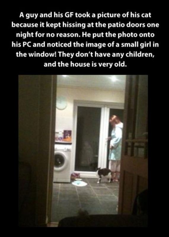 funny-pictures-556