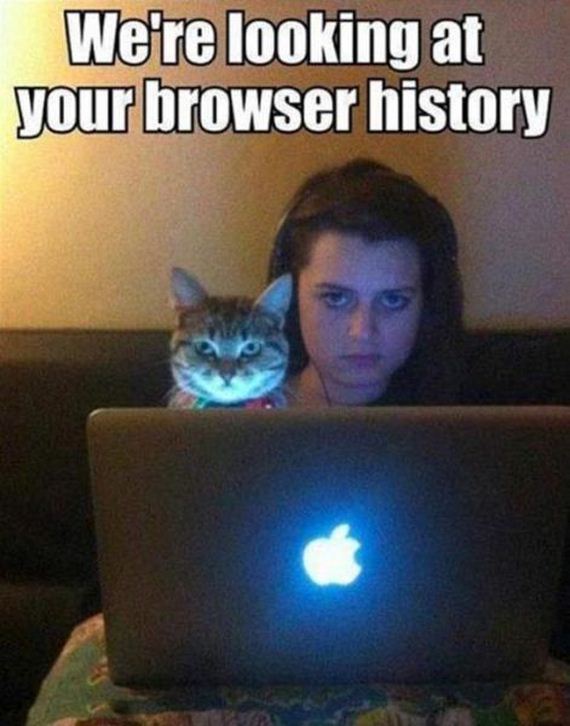 funny-pictures-556