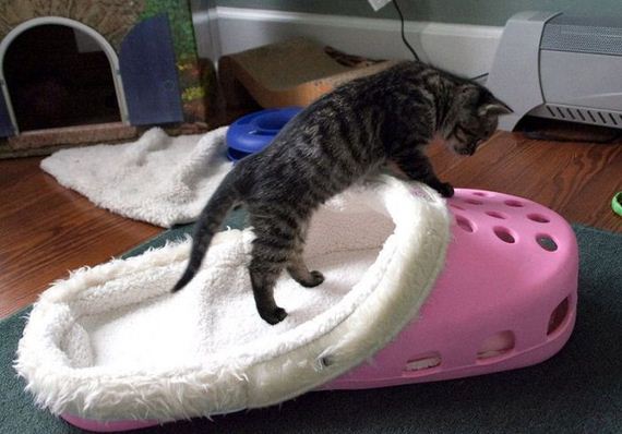 funny-pictures-557